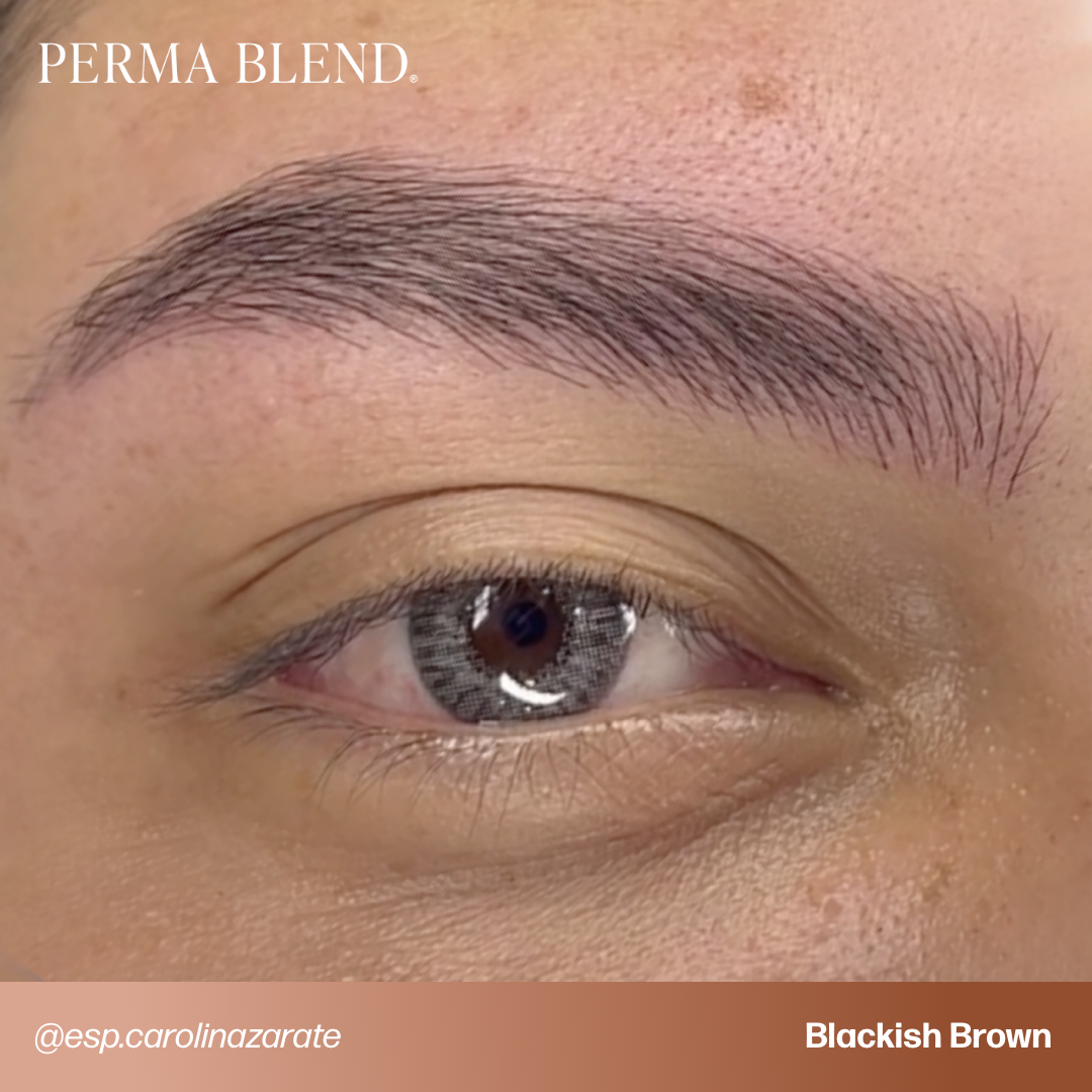  Signature Brow Set — Perma Blend — 8 1/2oz Bottles