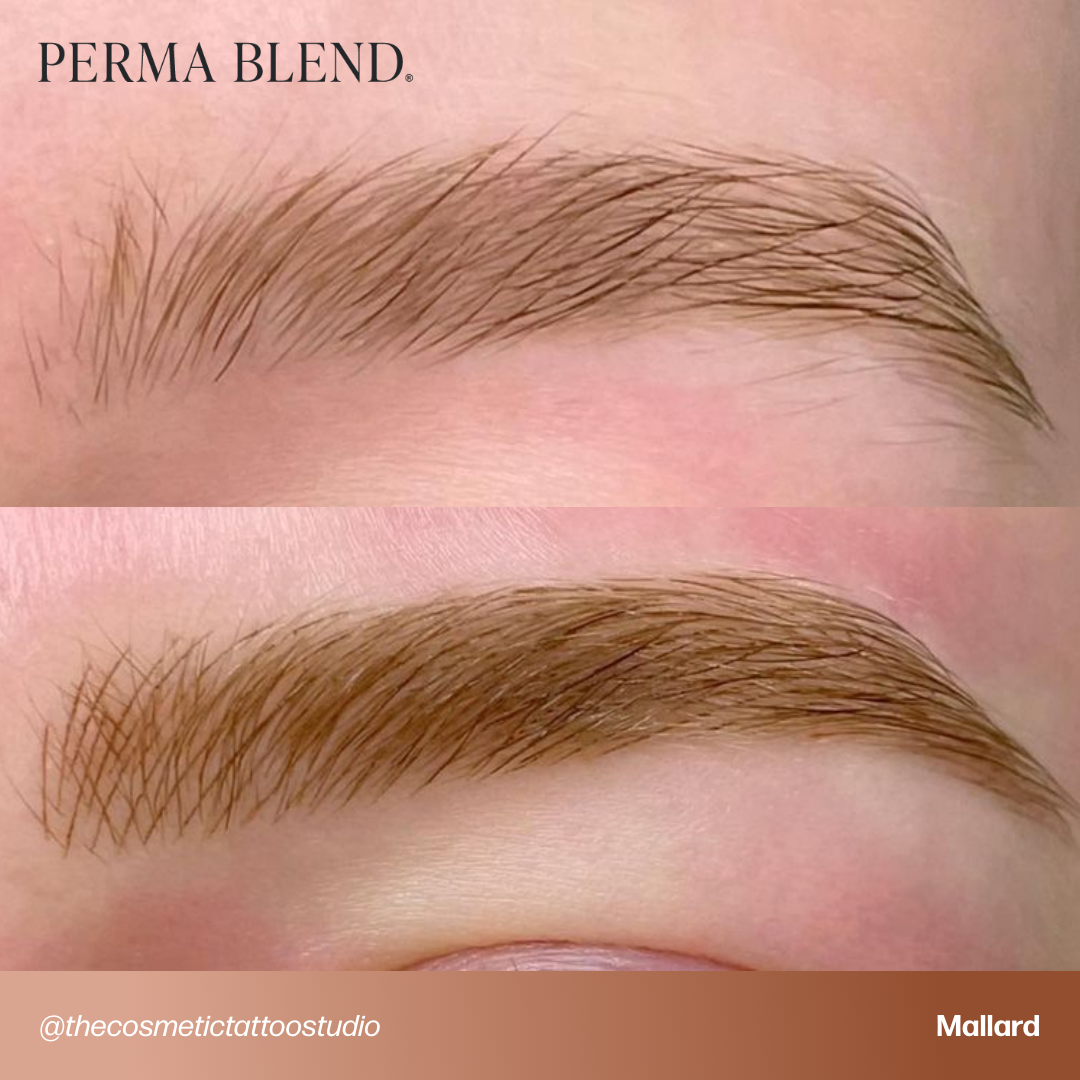 Signature Brow Set — Perma Blend — 8 1/2oz Bottles