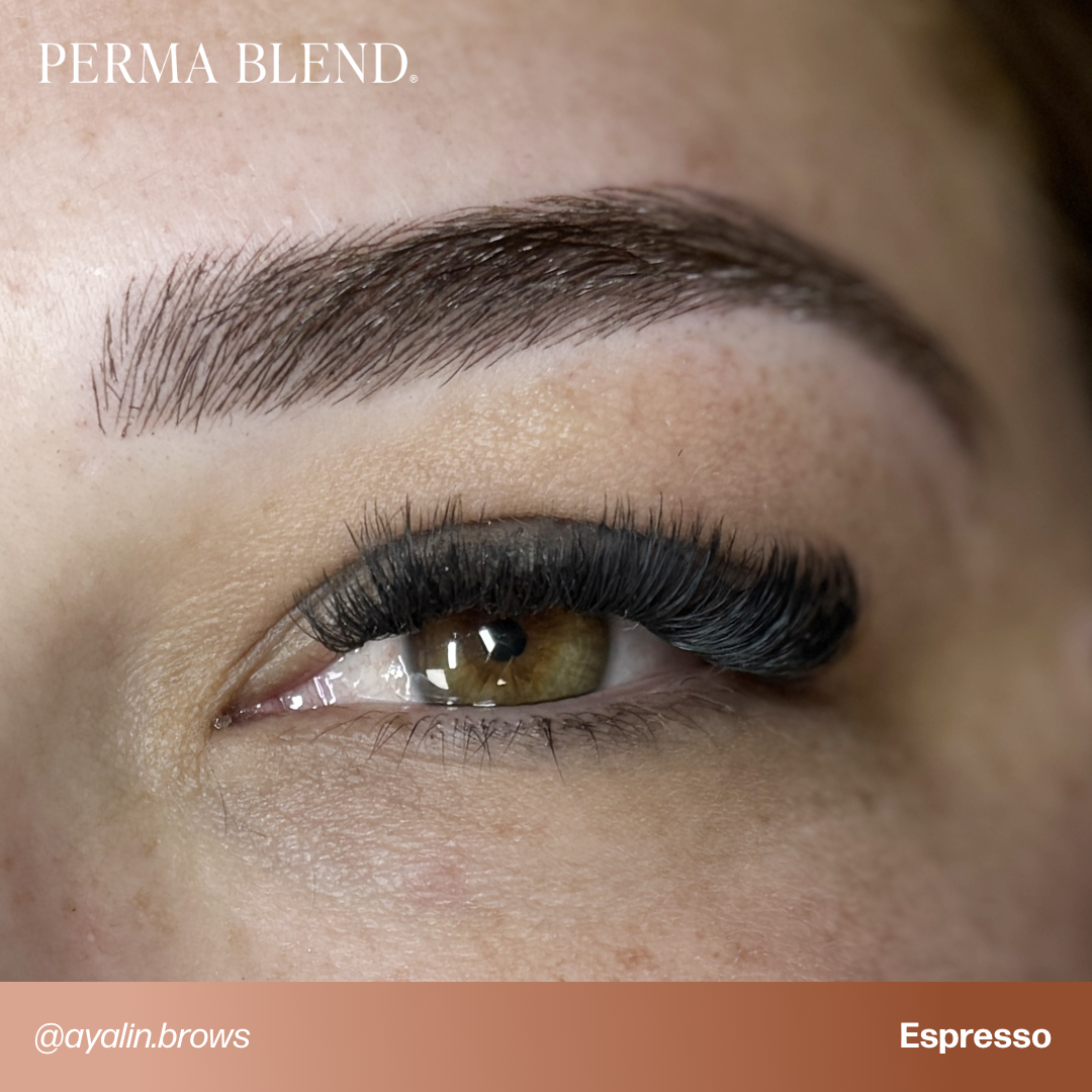  Signature Brow Set — Perma Blend — 8 1/2oz Bottles