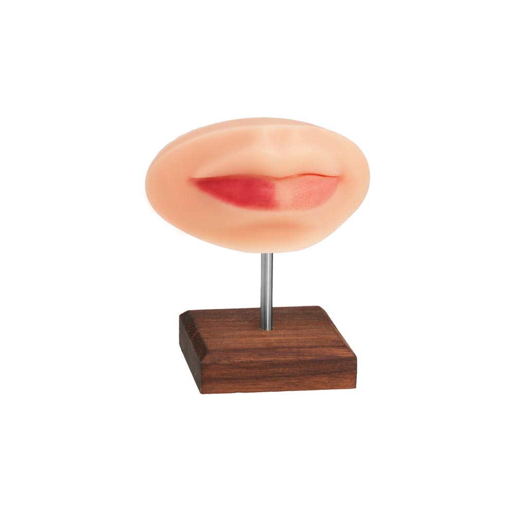  A Pound of Flesh PMU Practice Lips and Piercing Body Bit  — Pick Skin Tone