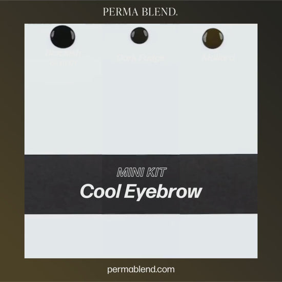  Cool Eyebrow Mini Set – Perma Blend – 3 1/2oz Bottles