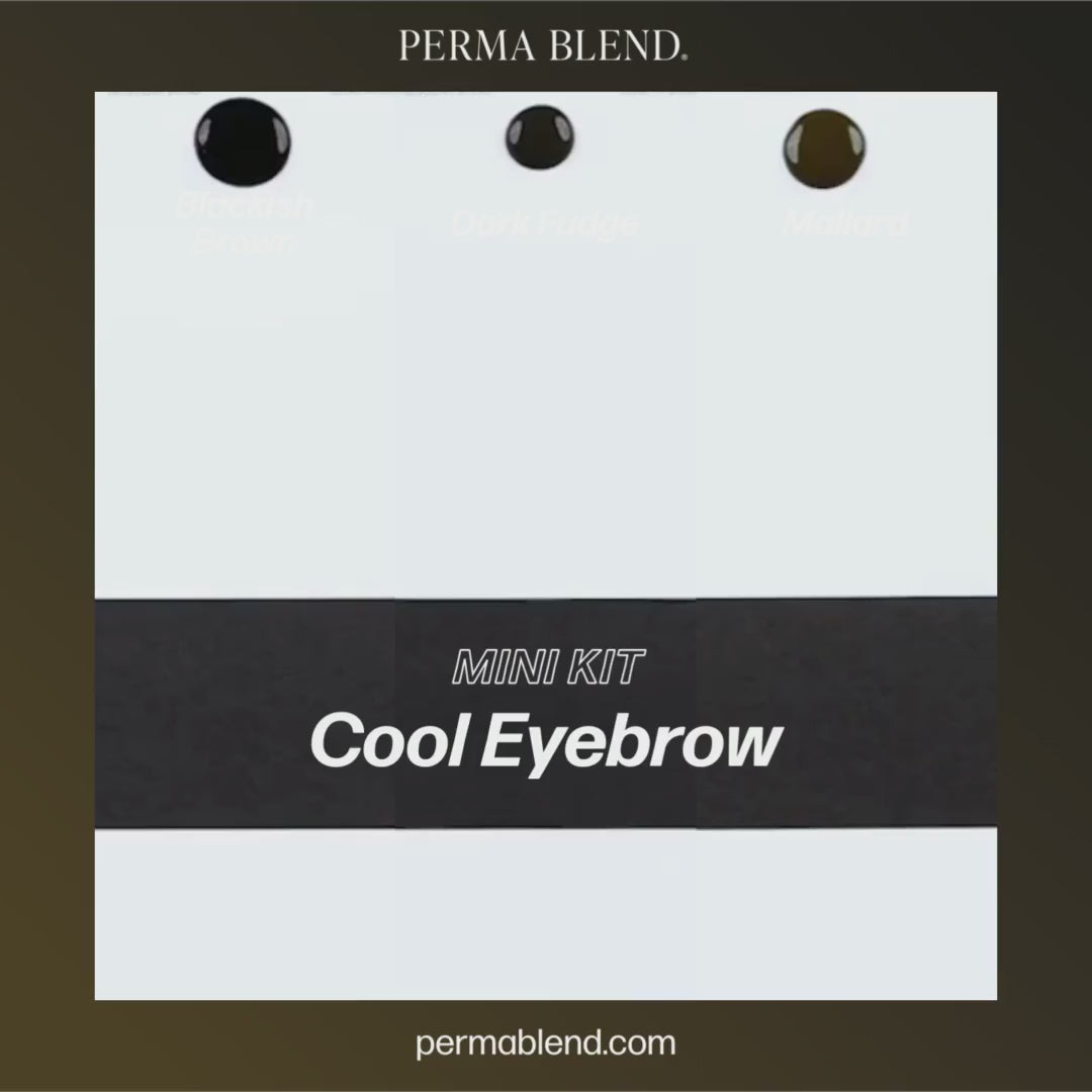 Cool Eyebrow Mini Set – Perma Blend – 3 1/2oz Bottles