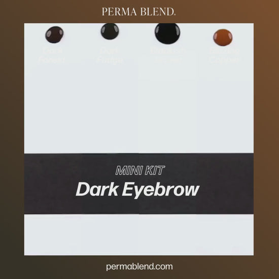  Dark Eyebrow Mini Set – Perma Blend – 4 1/2oz Bottles